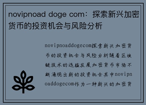 novipnoad doge com：探索新兴加密货币的投资机会与风险分析